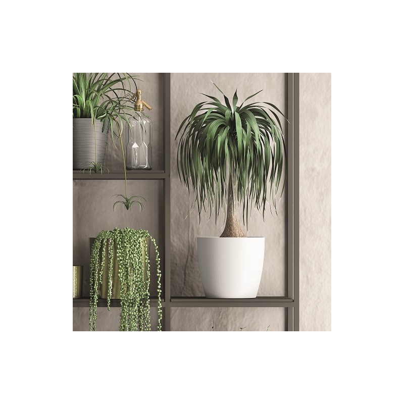 MACETA PLASTICO ø 25cm