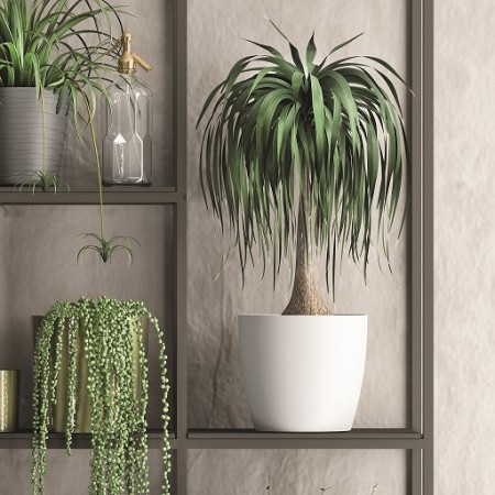 MACETA PLASTICO ø 25cm