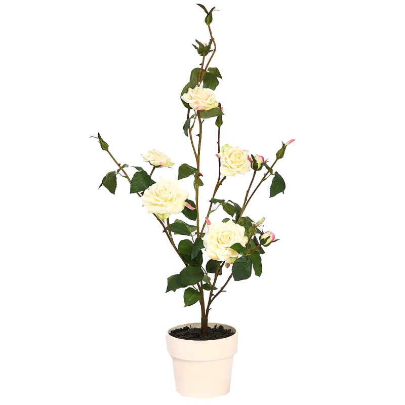 MACETA ROSAL 78CM