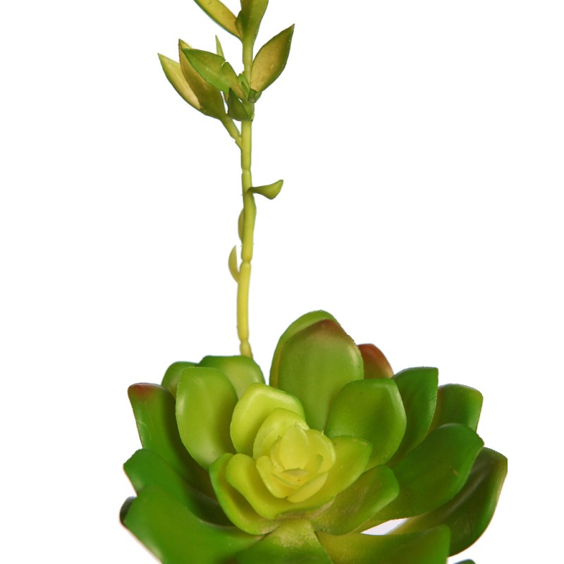 ECHEVERIA COLORATA BROTE ARTIFICIAL 14CM