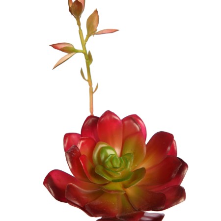 ECHEVERIA COLORATA BROTE ARTIFICIAL 14CM