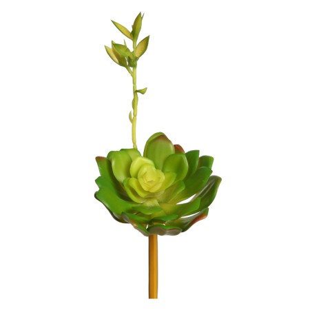 ECHEVERIA COLORATA BROTE ARTIFICIAL 14CM