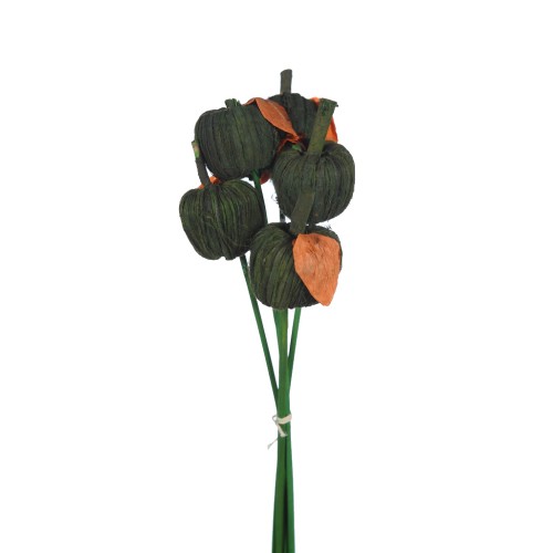 MANZANAS DE FIBRA SET X5 48CM 2