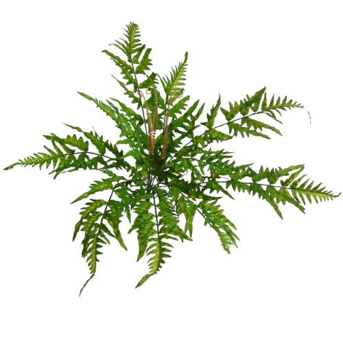 MATA DE HELECHO ARTIFICIAL 45CM