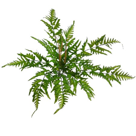 MATA DE HELECHO ARTIFICIAL 45CM