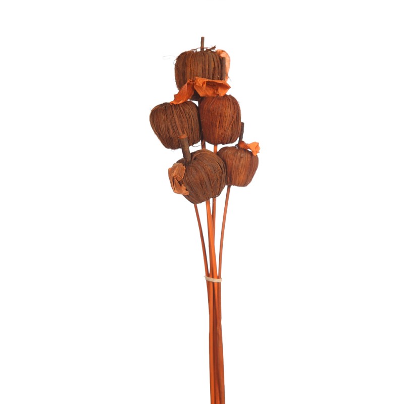 MANZANAS DE FIBRA SET X5 48CM