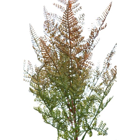 MATA HELECHOSA ARTIFICIAL 50CM