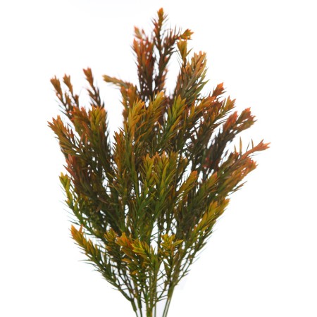 MATA ROSMERY ARTIFICIAL 40CM