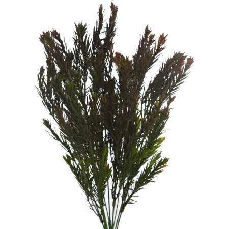 MATA ROSMERY ARTIFICIAL 40CM