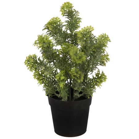 MATA SILVESTRE CON MACETA 30CM