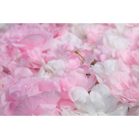 MURO ROSAS Y HORTENSIAS 60X40CM