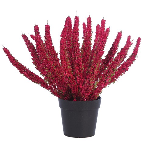 PLANTA BREZO CON MACETA 26CM