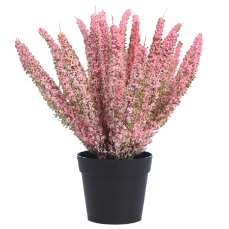 PLANTA BREZO CON MACETA 26CM