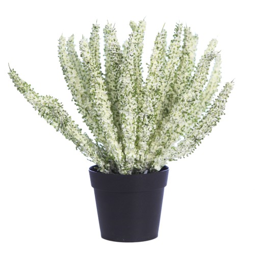 PLANTA BREZO CON MACETA 26CM 2