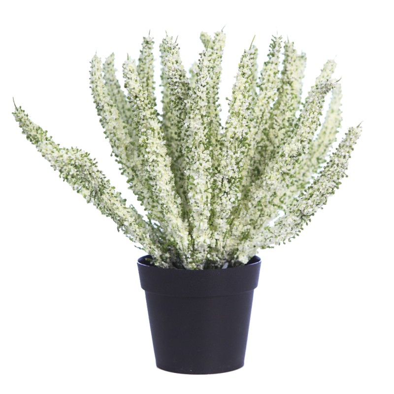 PLANTA BREZO CON MACETA 26CM