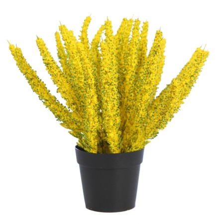 PLANTA BREZO CON MACETA 26CM