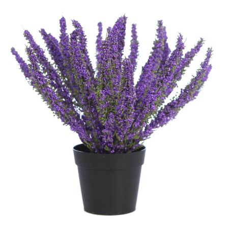 PLANTA BREZO CON MACETA 26CM