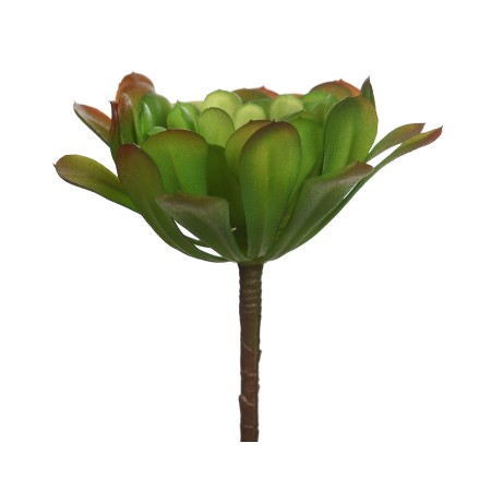 PLANTA CACTUS 18CM