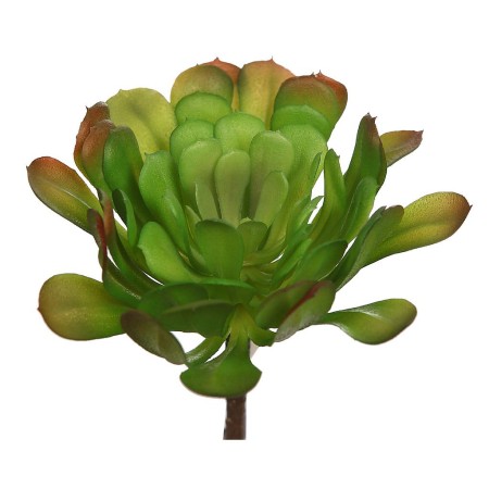 PLANTA CACTUS 18CM