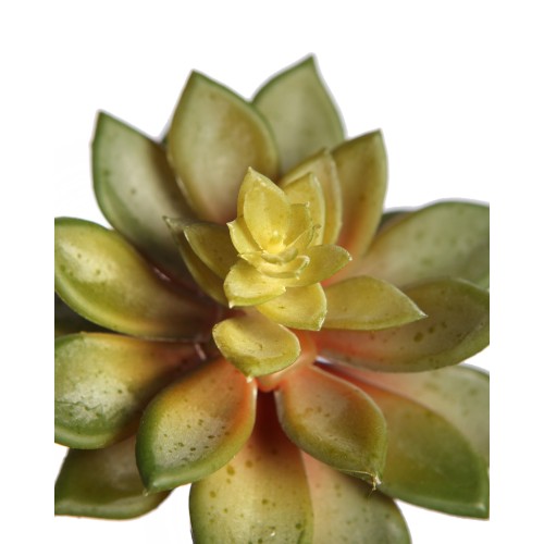 PLANTA CRASA ECHEVERIA ARTIFICIAL 13CM 2