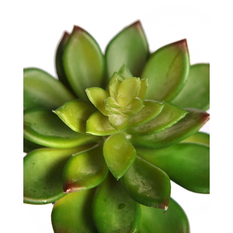 PLANTA CRASA ECHEVERIA ARTIFICIAL 13CM