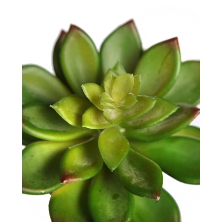 PLANTA CRASA ECHEVERIA ARTIFICIAL 13CM