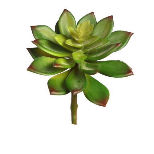 PLANTA CRASA ECHEVERIA ARTIFICIAL 13CM