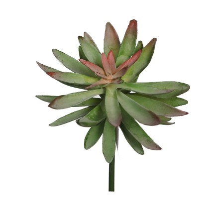PLANTA CRASA ECHEVERIA HOOKERI ARTIFICIAL 17CM