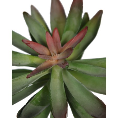 PLANTA CRASA ECHEVERIA HOOKERI ARTIFICIAL 17CM