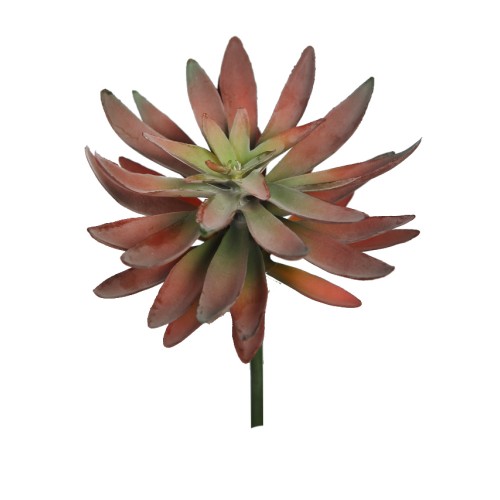 PLANTA CRASA ECHEVERIA HOOKERI ARTIFICIAL 17CM 2