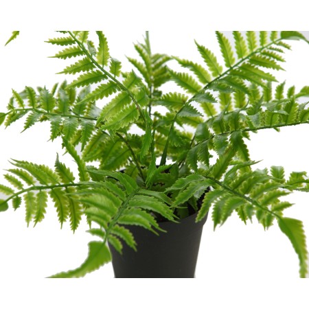 PLANTA DE HELECHO EN MACETA 25CM