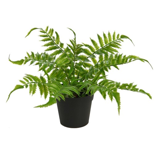 PLANTA DE HELECHO EN MACETA 25CM