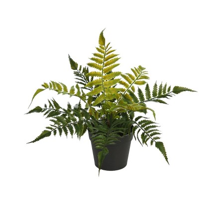 PLANTA DE HELECHO EN MACETA 25CM
