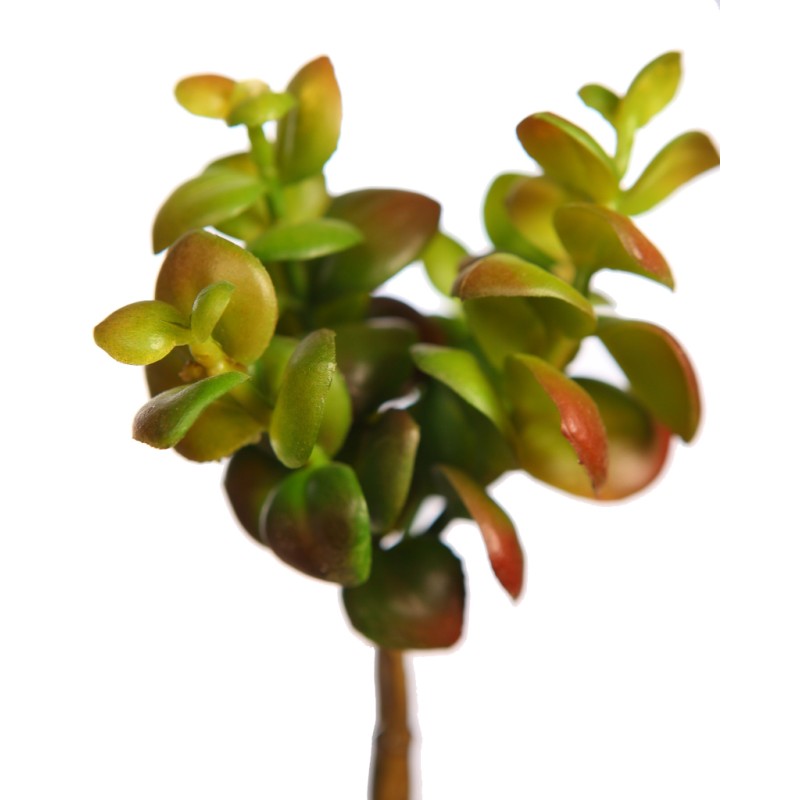 PLANTA SEDUM SUCULENTA ARTIFICIAL 17CM