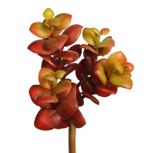 PLANTA SEDUM SUCULENTA ARTIFICIAL 17CM 2