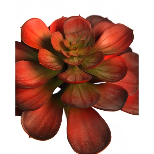 PLANTA SUCULENTA ECHEVERIA ARTIFICIAL 16CM 2