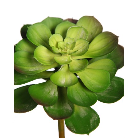 PLANTA SUCULENTA ECHEVERIA ARTIFICIAL 16CM