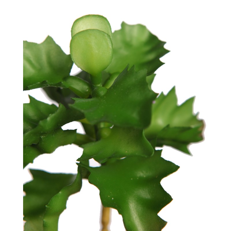 PLANTA SUCULENTA SHAVIANA ARTIFICIAL 14CM