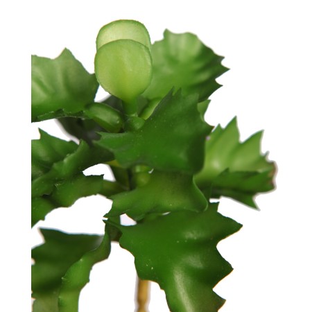 PLANTA SUCULENTA SHAVIANA ARTIFICIAL 14CM