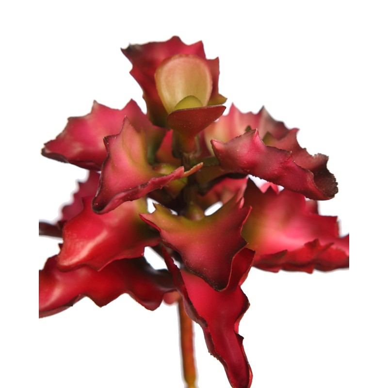 PLANTA SUCULENTA SHAVIANA ARTIFICIAL 14CM