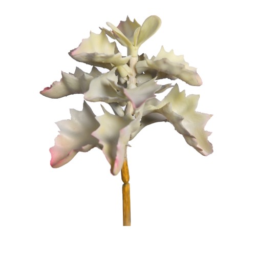 PLANTA SUCULENTA SHAVIANA ARTIFICIAL 14CM