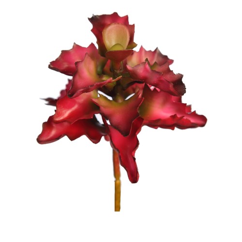 PLANTA SUCULENTA SHAVIANA ARTIFICIAL 14CM 2