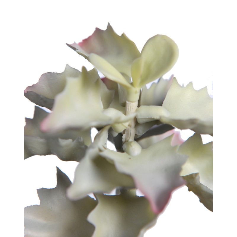 PLANTA SUCULENTA SHAVIANA ARTIFICIAL 14CM