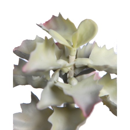 PLANTA SUCULENTA SHAVIANA ARTIFICIAL 14CM