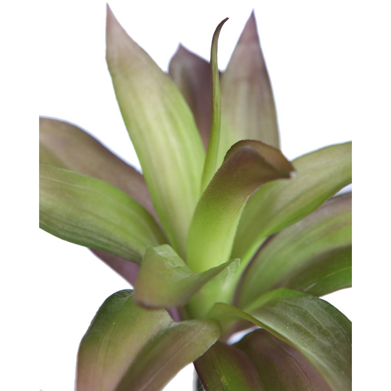 PLANTA SUCULENTA SIRIUS ARTIFICIAL 20CM