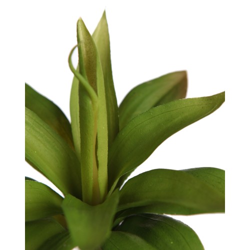 PLANTA SUCULENTA SIRIUS ARTIFICIAL 20CM 2