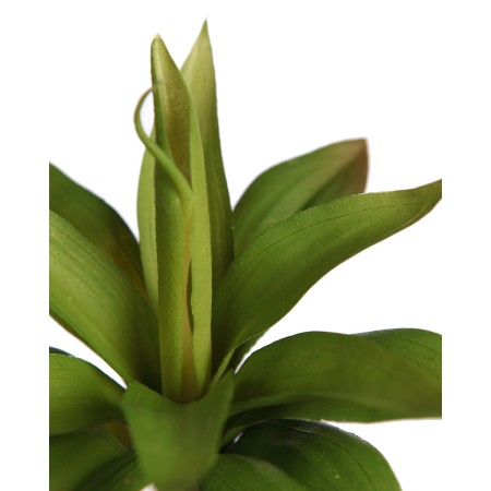 PLANTA SUCULENTA SIRIUS ARTIFICIAL 20CM