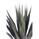 CACTUS AGAVE CON MACETA 105 CM