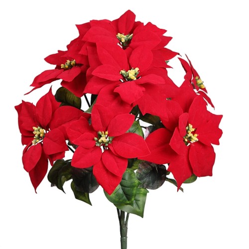POINSETTIA PASCUERO X7 FLORES, 51 CM