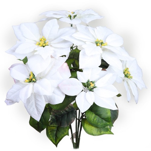 POINSETTIA PASCUERO X7 FLORES, 51 CM 2